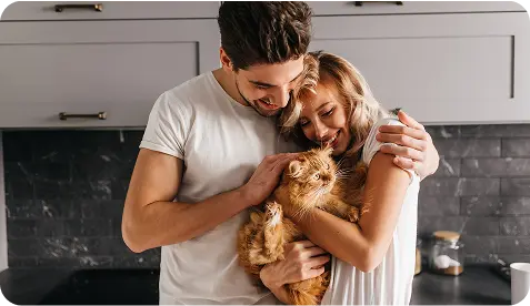 cat with rebin
