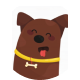 Pet Profile